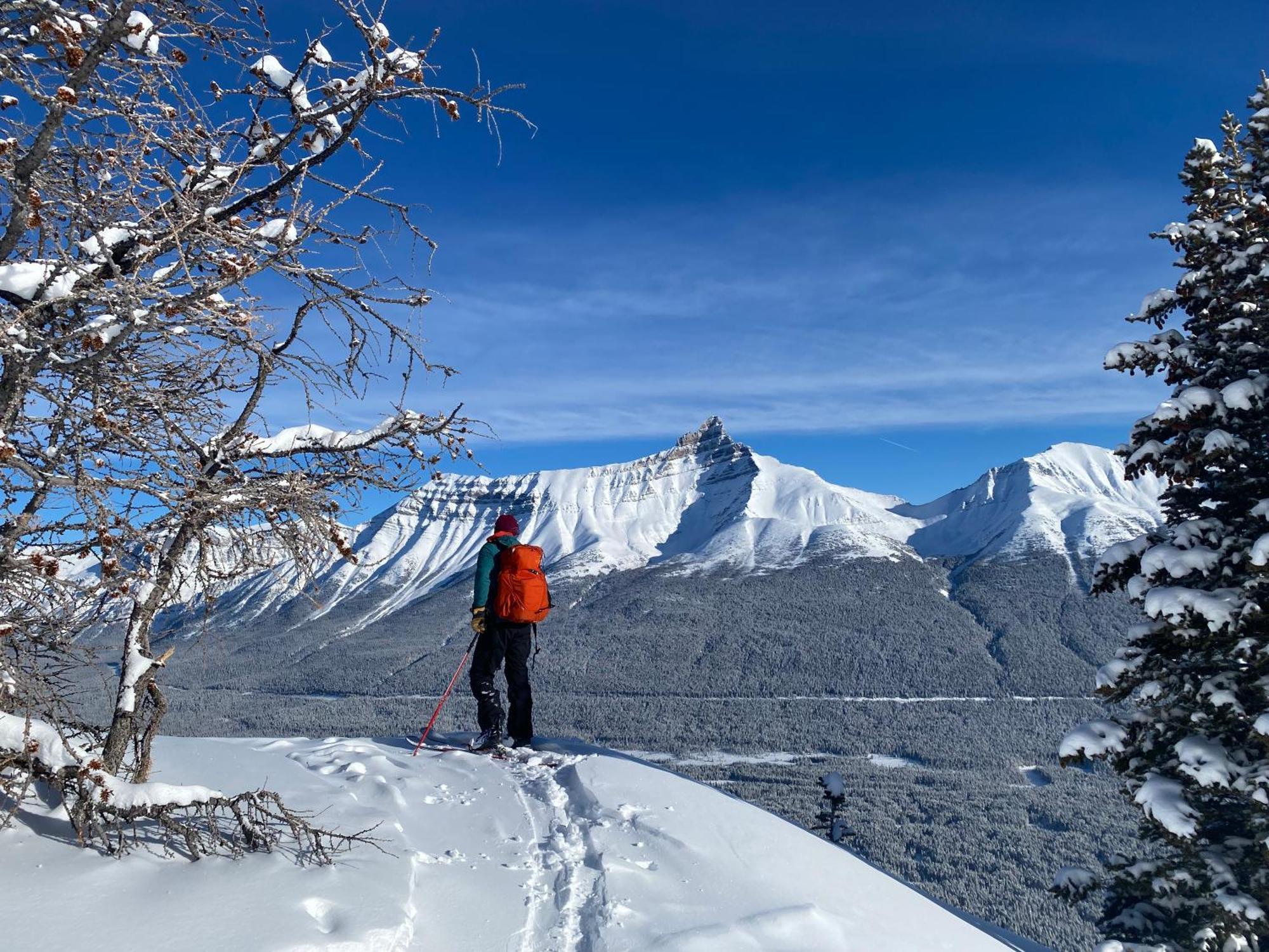 The Lodge At Bow Lake Lake Louise Bagian luar foto