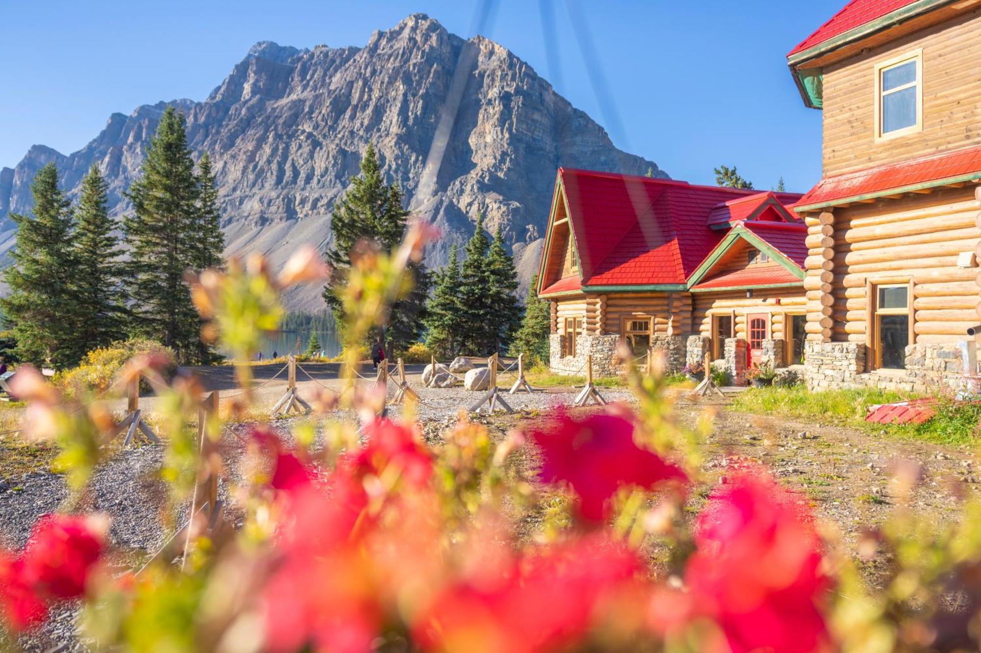 The Lodge At Bow Lake Lake Louise Bagian luar foto