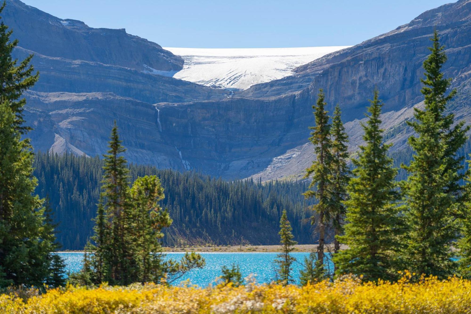 The Lodge At Bow Lake Lake Louise Bagian luar foto